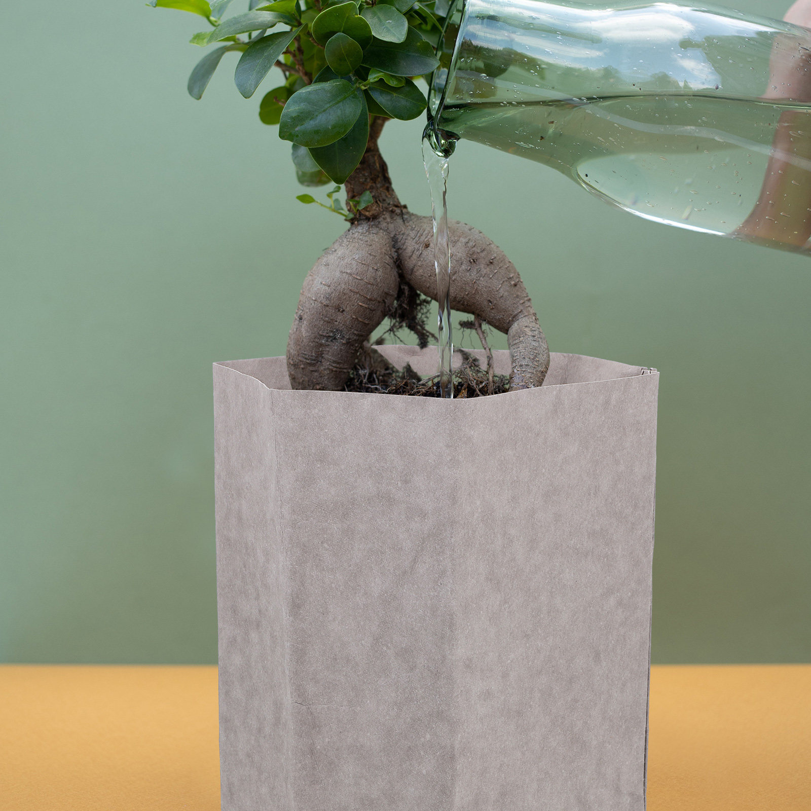 Washable Kraft Paper Container - огляд і ціна Food Storage Drawing