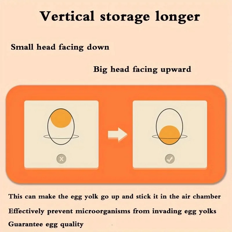 1 Kitchen Egg Storage Box 2 La - огляд і ціна Egg Storage Holder
